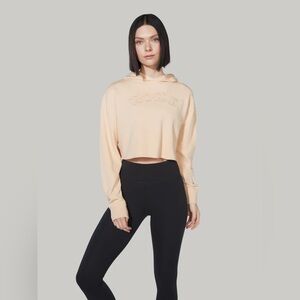 NWT Nike Sportswear Shimmer Crop Hoodie Beige XS